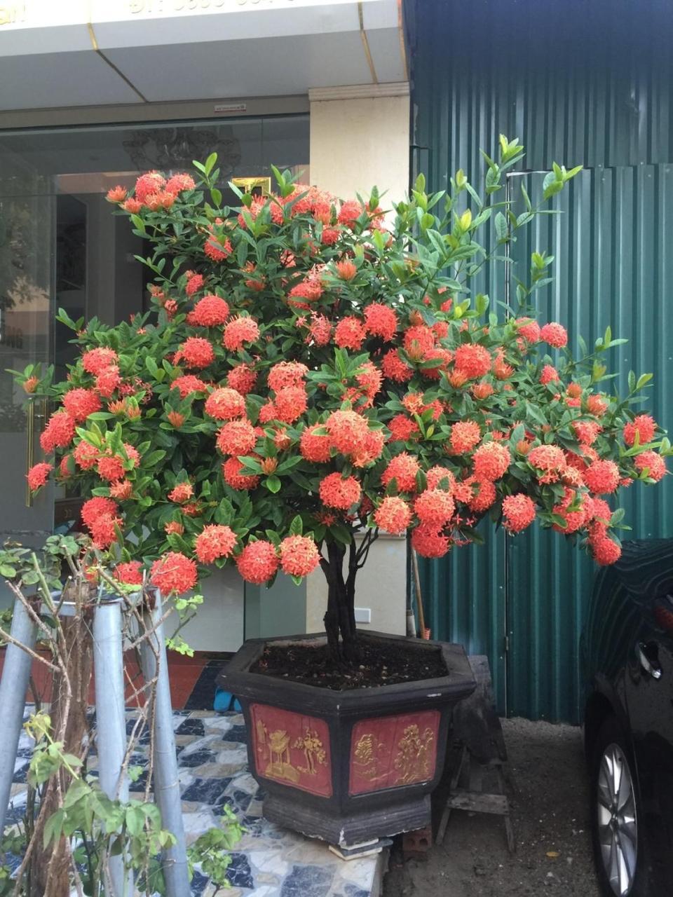 Nha Nghi Anh Dung Bed & Breakfast Ha Long Exterior photo